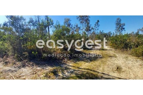 Helårsgrund i Cantanhede, Coimbra, Cantanhede - € 50.000 | Ref: RR93259 - foto 6