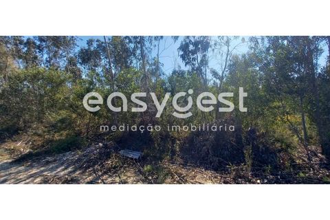 Helårsgrund i Cantanhede, Coimbra, Cantanhede - € 50.000 | Ref: RR93259 - foto 9