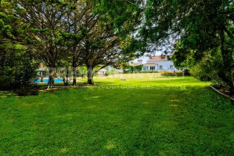 Farm i Bombarral, Leiria, Bombarral - € 797.000 | Ref: OR93048EW (2) - foto 4