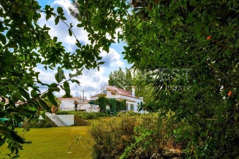 Farm i Bombarral, Leiria, Bombarral - € 797.000 | Ref: OR93048EW (2) - foto 8