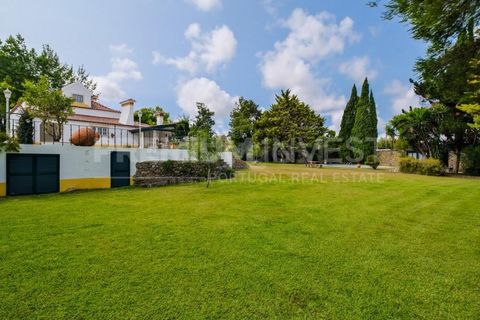 Farm i Bombarral, Leiria, Bombarral - € 797.000 | Ref: OR93048EW (2) - foto 9