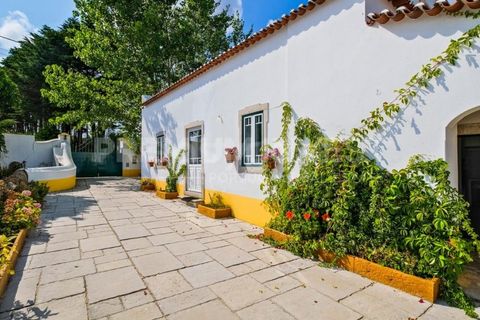 Farm i Bombarral, Leiria, Bombarral - € 797.000 | Ref: OR93048EW (2) - foto 20
