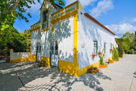 Farm i Bombarral, Leiria, Bombarral - € 797.000 | Ref: OR93048EW (2) - foto 21