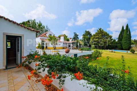 Farm i Bombarral, Leiria, Bombarral - € 797.000 | Ref: OR93048EW (2) - foto 43