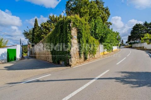 Farm i Bombarral, Leiria, Bombarral - € 797.000 | Ref: OR93048EW (2) - foto 49