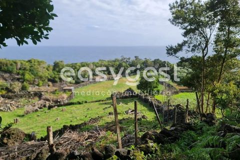Villa i Cumeeira, Coimbra, Cumeeira - € 35.000 | Ref: AZ92301FR - foto 2