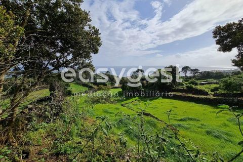 Villa i Cumeeira, Coimbra, Cumeeira - € 35.000 | Ref: AZ92301FR - foto 9