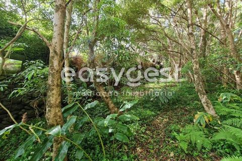 Villa i Cumeeira, Coimbra, Cumeeira - € 35.000 | Ref: AZ92301FR - foto 10