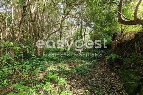 Villa i Cumeeira, Coimbra, Cumeeira - € 35.000 | Ref: AZ92301FR - foto 12