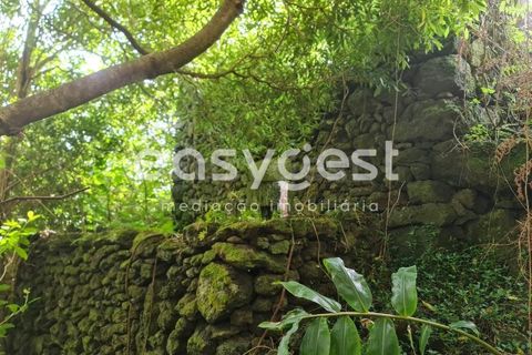 Villa i Cumeeira, Coimbra, Cumeeira - € 35.000 | Ref: AZ92301FR - foto 14