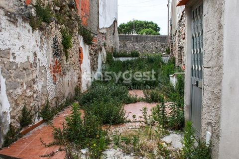 Helårsgrund i Pataias, Leiria, Pataias - € 43.500 | Ref: LE95700NZ - foto 8