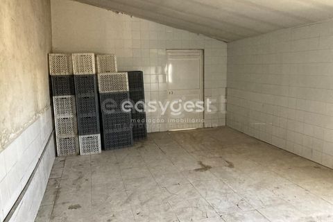 Næringseiendom i Beja, Beja, Beja - € 65 000 | Ref: BJ95822 - foto 12