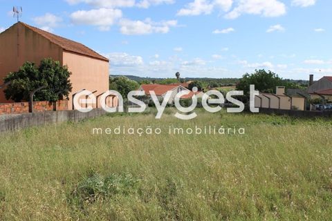 Helårsgrund i Tomar, Santarem, Tomar - € 45.000 | Ref: TM61591 - foto 2