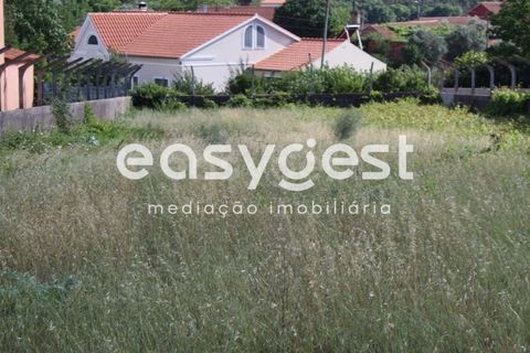 Helårsgrund i Tomar, Santarem, Tomar - € 45.000 | Ref: TM61591 - foto 3