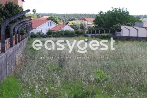 Helårsgrund i Tomar, Santarem, Tomar - € 45.000 | Ref: TM61591 - foto 4