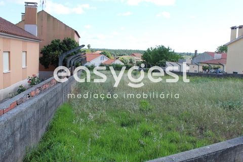 Helårsgrund i Tomar, Santarem, Tomar - € 45.000 | Ref: TM61591 - foto 5