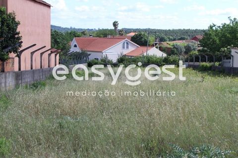 Helårsgrund i Tomar, Santarem, Tomar - € 45.000 | Ref: TM61591 - foto 8