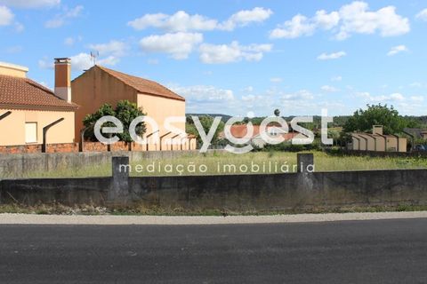Helårsgrund i Tomar, Santarem, Tomar - € 45.000 | Ref: TM61591 - foto 9