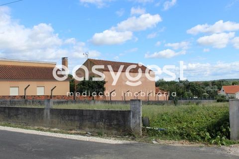 Helårsgrund i Tomar, Santarem, Tomar - € 45.000 | Ref: TM61591 - foto 10