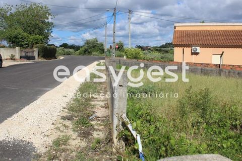 Helårsgrund i Tomar, Santarem, Tomar - € 45.000 | Ref: TM61591 - foto 11