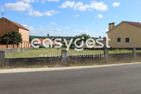Helårsgrund i Tomar, Santarem, Tomar - € 45.000 | Ref: TM61591 - foto 12