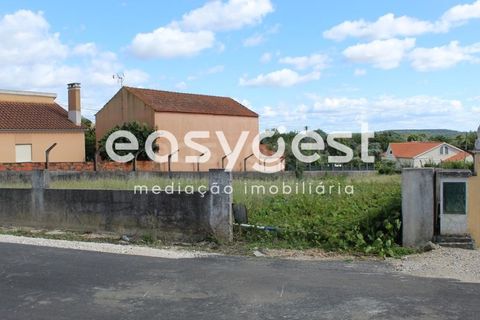 Helårsgrund i Tomar, Santarem, Tomar - € 45.000 | Ref: TM61591 - foto 14