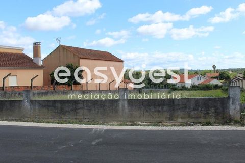 Helårsgrund i Tomar, Santarem, Tomar - € 45.000 | Ref: TM61591 - foto 15