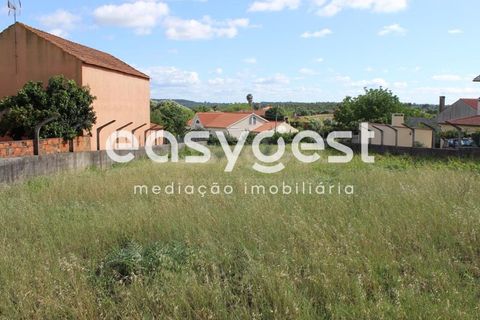 Helårsgrund i Tomar, Santarem, Tomar - € 45.000 | Ref: TM61591 - foto 16