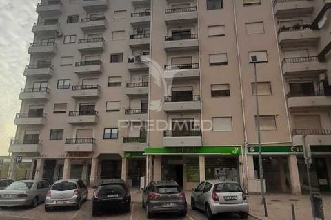 Apartment in Setubal, Setubal, Setubal - € 1,200/month | Ref: 054666 - photo 5