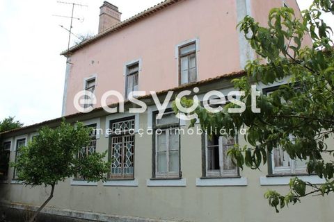 Farm i Alcanena, Santarem, Alcanena - € 329.000 | Ref: TM63895 - foto 2
