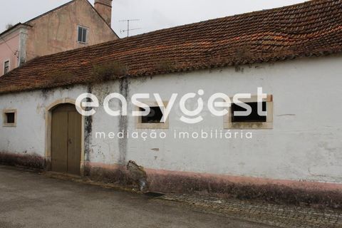 Farm i Alcanena, Santarem, Alcanena - € 329.000 | Ref: TM63895 - foto 4