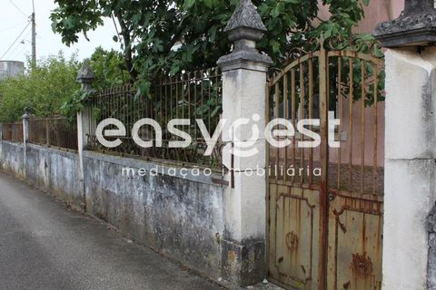 Farm i Alcanena, Santarem, Alcanena - € 329.000 | Ref: TM63895 - foto 5