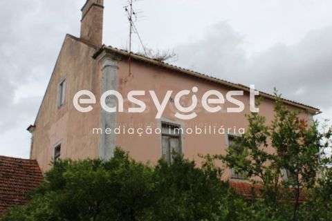 Farm i Alcanena, Santarem, Alcanena - € 329.000 | Ref: TM63895 - foto 6