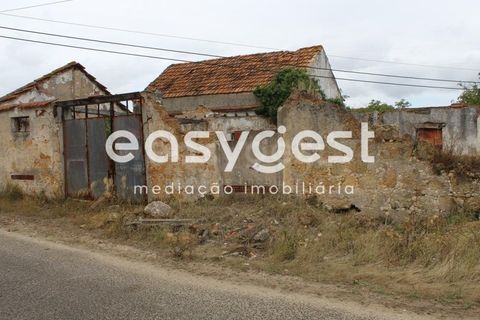 Farm i Alcanena, Santarem, Alcanena - € 329.000 | Ref: TM63895 - foto 8