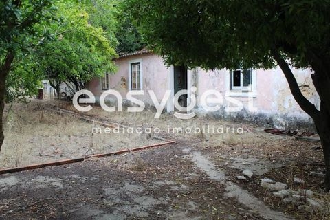 Farm i Alcanena, Santarem, Alcanena - € 329.000 | Ref: TM63895 - foto 9
