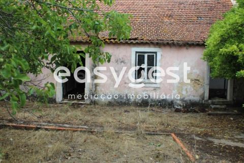 Farm i Alcanena, Santarem, Alcanena - € 329.000 | Ref: TM63895 - foto 10