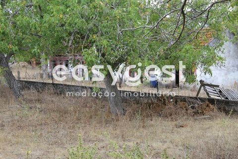 Farm i Alcanena, Santarem, Alcanena - € 329.000 | Ref: TM63895 - foto 11
