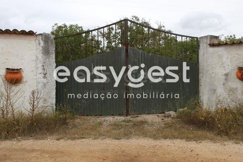 Farm i Alcanena, Santarem, Alcanena - € 329.000 | Ref: TM63895 - foto 13