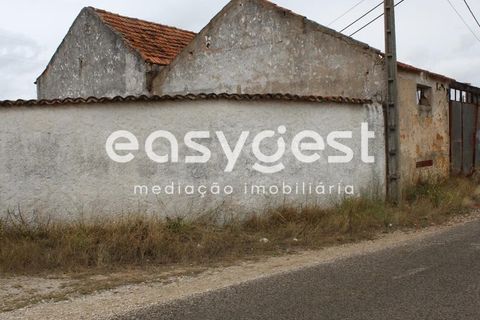 Farm i Alcanena, Santarem, Alcanena - € 329.000 | Ref: TM63895 - foto 14