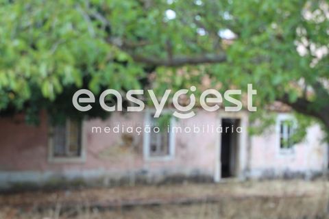 Farm i Alcanena, Santarem, Alcanena - € 329.000 | Ref: TM63895 - foto 15