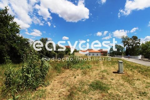 Grond in Anadia, Aveiro, Anadia - € 150.000 | Ref: RR59293 - foto 2