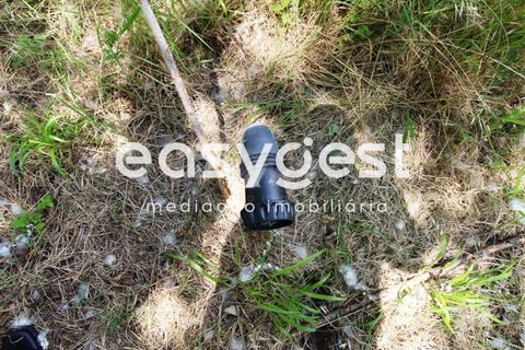 Grond in Anadia, Aveiro, Anadia - € 150.000 | Ref: RR59293 - foto 6