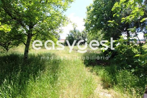 Grond in Anadia, Aveiro, Anadia - € 150.000 | Ref: RR59293 - foto 7