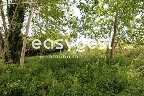 Grond in Anadia, Aveiro, Anadia - € 150.000 | Ref: RR59293 - foto 14