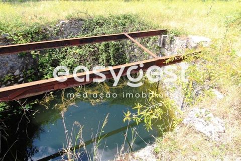 Grond in Anadia, Aveiro, Anadia - € 150.000 | Ref: RR59293 - foto 15