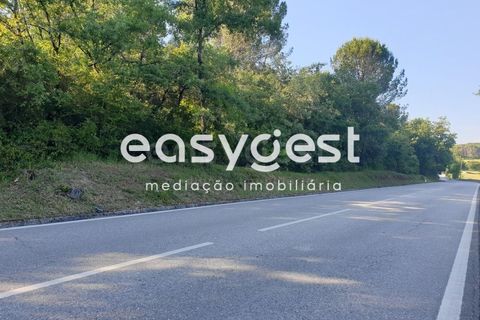 Terra a Soure, Coimbra, Soure - € 98.000 | Ref: RR73098 - foto 4