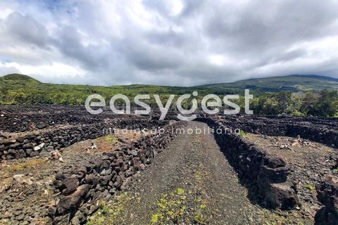 Helårsgrund i Sao Mateus, Graciosa, Sao Mateus - € 125.000 | Ref: AZ88425FR - foto 1