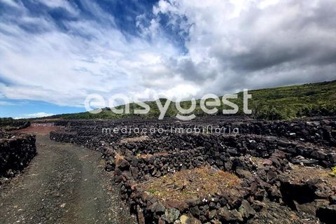 Helårsgrund i Sao Mateus, Graciosa, Sao Mateus - € 125.000 | Ref: AZ88425FR - foto 3