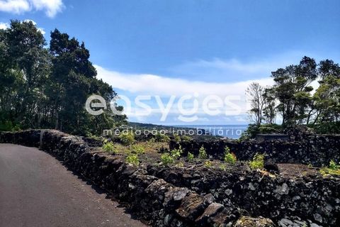 Helårsgrund i Sao Mateus, Graciosa, Sao Mateus - € 125.000 | Ref: AZ88425FR - foto 5