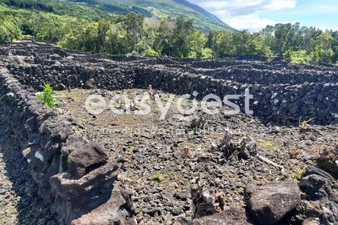 Helårsgrund i Sao Mateus, Graciosa, Sao Mateus - € 125.000 | Ref: AZ88425FR - foto 7